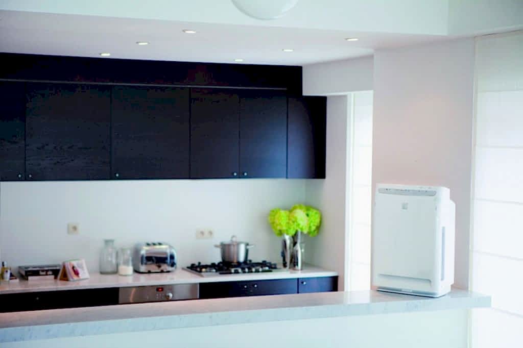 hava-temizleyiciler-2